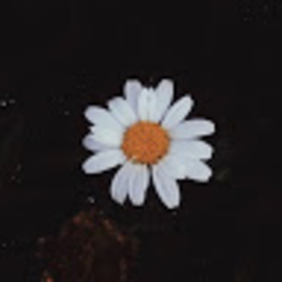 snow_heart_142